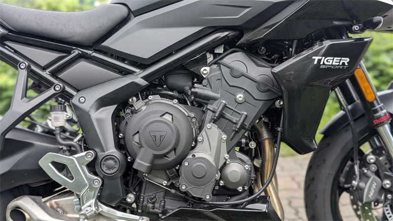 Motor: Putzmunterer Triple mit 81 PS