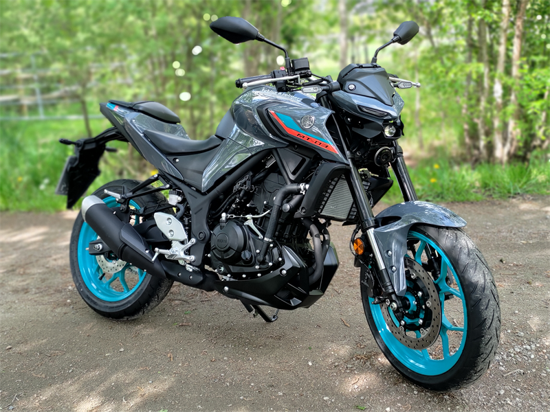 Yamaha MT-03 im Test