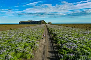 motorradtest.de Gallery