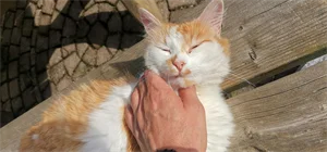 motorradtest.de Gallery