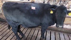 motorradtest.de Gallery