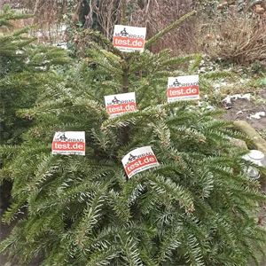 motorradtest.de Gallery