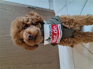 motorradtest.de Gallery