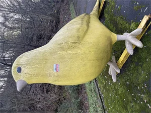 motorradtest.de Gallery