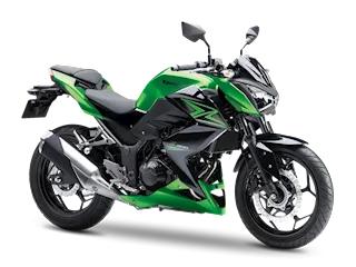 Kawasaki Z 300
