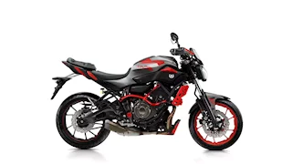 Yamaha MT-07 Moto Cage